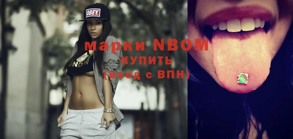 индика Алексеевка