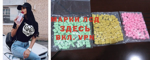 индика Алзамай
