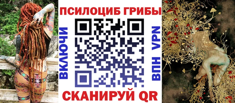 Псилоцибиновые грибы мицелий  наркошоп  Ленинск-Кузнецкий 