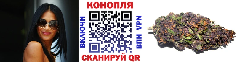 продажа наркотиков  Ленинск-Кузнецкий  Конопля планчик 